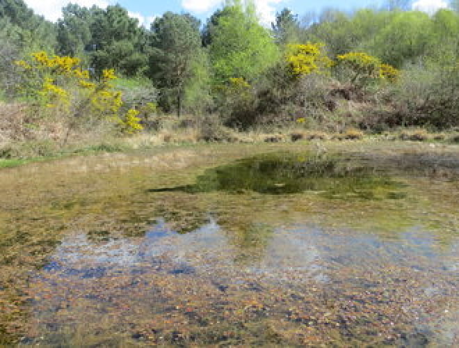 JEP - Les Grandes Landes de Trébédan Le 22 sept 2024